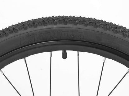 Darwin -24" Starrgabel/ Federgabel für Kinder