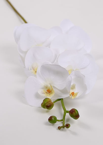 Blumen Zweige künstlich versch. Arten: Kirsch Blütenzweig Orchidee Rose